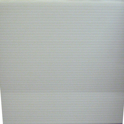 Plaskolite Single Corrugated Plastic Sheet 24 in. W X 48 in. L X .157 in.