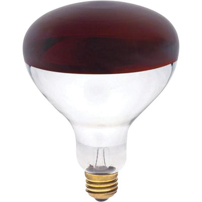 Westinghouse 250 W R40 Reflector/Heat Lamp Incandescent Bulb E26 (Medium) Red