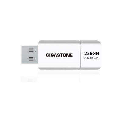 Gigastone Flash Drive 256 GB