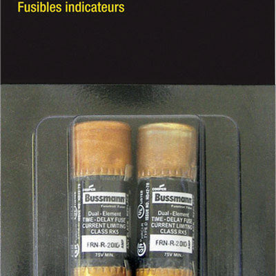 Bussmann EasyID 20 amps Dual Element Time Delay Fuse 2 pk
