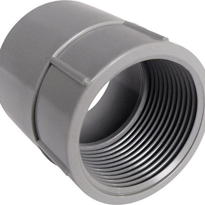 Cantex 3/4 in. D PVC Female Adapter For PVC