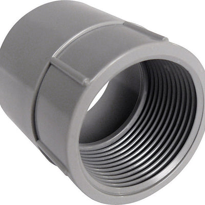 Cantex 1-1/2 in. D PVC Female Adapter For PVC