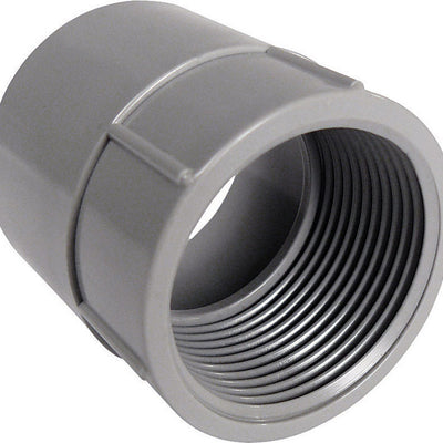 Cantex 2 in. D PVC Female Adapter For PVC
