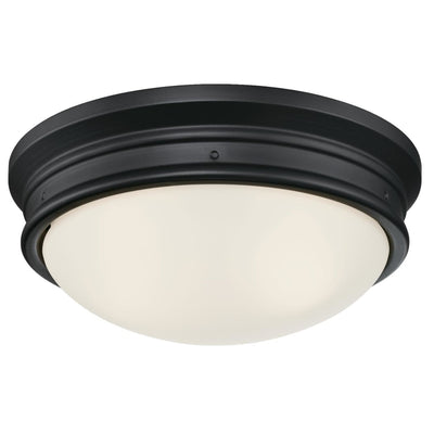 Westinghouse Meadowbrook Switch Incandescent Matte Black Wall Pack Light Fixture Hardwired