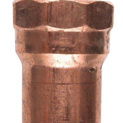 NIBCO 3/4 in. Sweat X 3/4 in. D FPT Copper Female Adapter 10 pk