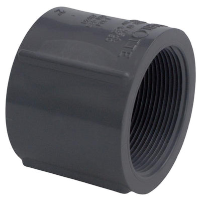 Charlotte Pipe Schedule 80 2 in. FPT X 2 in. D FPT PVC Coupling
