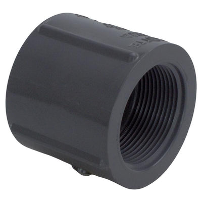 Charlotte Pipe Schedule 80 1-1/4 in. FPT X 1-1/4 in. D FPT PVC Coupling