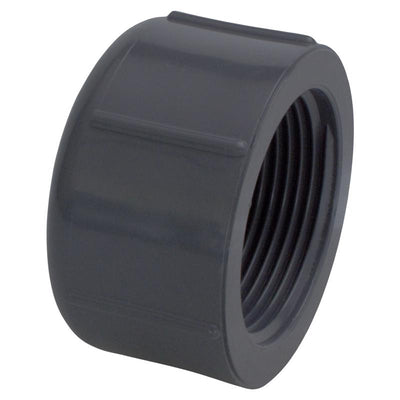 Charlotte Pipe Schedule 80 3/4 in. MPT X 3/4 in. D FPT PVC Threaded Cap