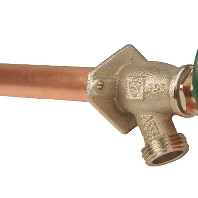 Arrowhead 3/4 in. MIP X 1/2 in. FIP Anti-Siphon Brass Hydrant