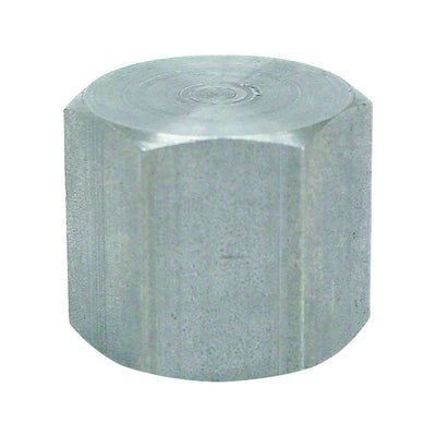 Anvil 1/4 in. FPT Malleable Iron Cap
