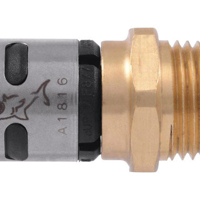 SharkBite EvoPEX 3/4 in. Push X 3/4 in. D MPT Plastic Adapter