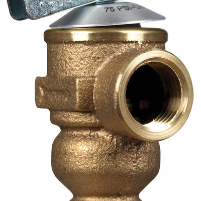 Cash Acme 1/2 in. Bronze Pressure Relief Valve
