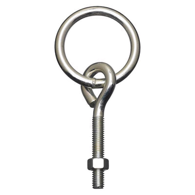 National Hardware Small Zinc-Plated Silver Steel 3-3/4 in. L Ring with Eye Bolt 160 lb