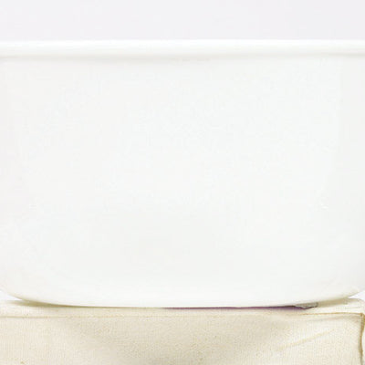 Corelle 28 oz Winter Frost Glass/Porcelain Soup/Cereal Bowl 6.25 in. D