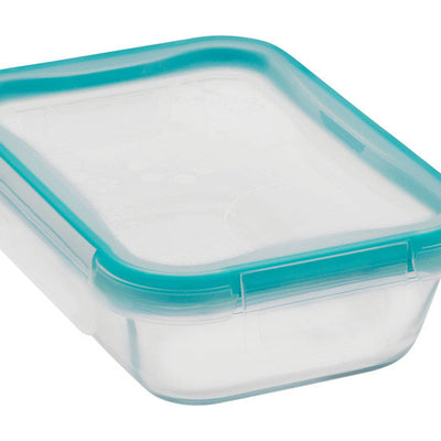 Snapware Total Solution 2 cups Clear Food Storage Container