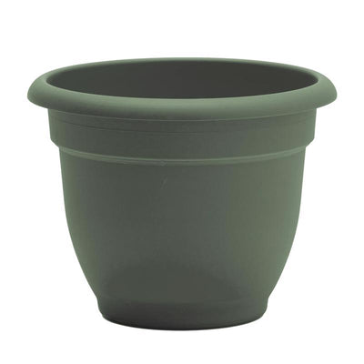 Bloem Ariana 10.25 in. H X 13 in. W X 12 in. D Plastic Traditional Planter Basil