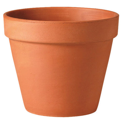 Deroma 13.6 in. H X 16 in. D Clay Standard Planter Terracotta