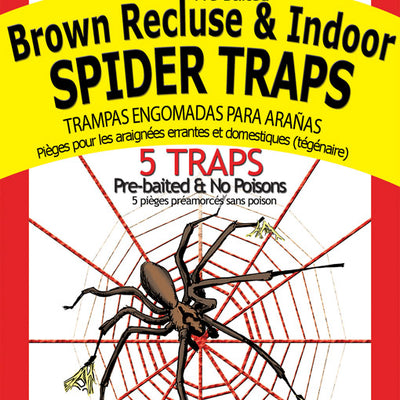 Big H Products Spider Trap 3.2 oz