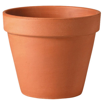 Deroma 5.7 in. H X 6 in. D Clay Standard Planter Terracotta