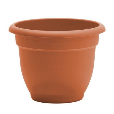 Bloem Ariana 5.25 in. H X 6.5 in. W Resin Traditional Planter Terracotta