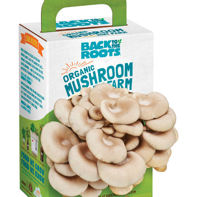 Back to the Roots Mushroom Mini Farm