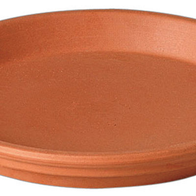 Deroma 10 in. D Clay Traditional Plant Saucer Terracotta