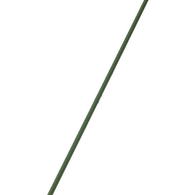 Gardener's Blue Ribbon 48 in. H X 5/16 in. W Green Steel Plant Stake