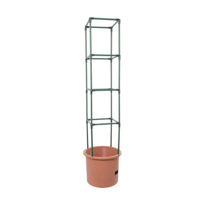 Hydrofarm 12 in. H X 14 in. W Green Plastic Tomato Cage