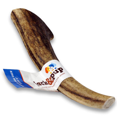 Jack & Pup Elk Antler Grain Free Bone Horn For Dogs 6 in.