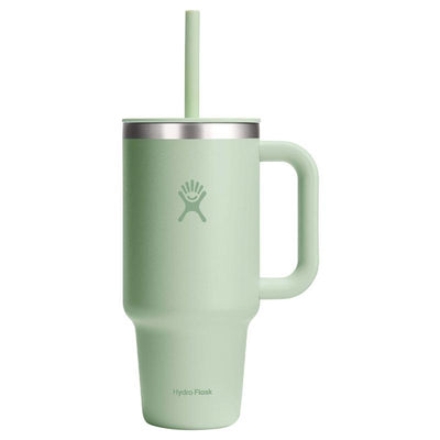 Hydroflask All Around 20 fl. oz. Aloe BPA Free Tumbler with Straw Lid