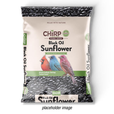 Chirp Black Oil Sunflower Wild Bird Food 20 lb