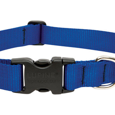 LupinePet Basic Solids Blue Blue Nylon Dog Adjustable Collar
