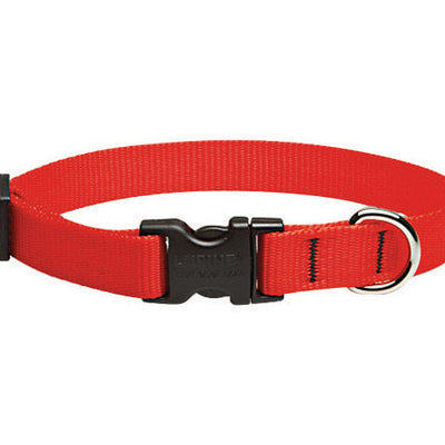 LupinePet Basic Solids Red Red Nylon Dog Adjustable Collar