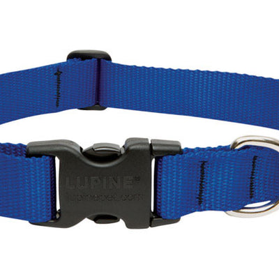 LupinePet Basic Solids Blue Blue Nylon Dog Adjustable Collar