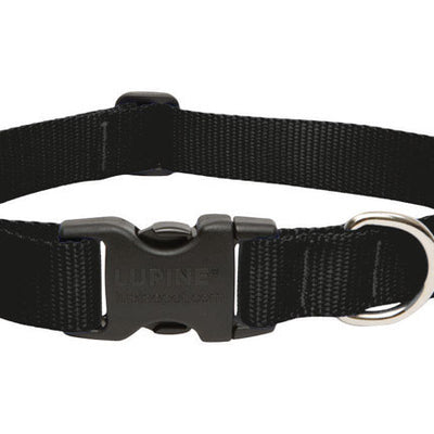 LupinePet Basic Solids Black Black Nylon Dog Adjustable Collar