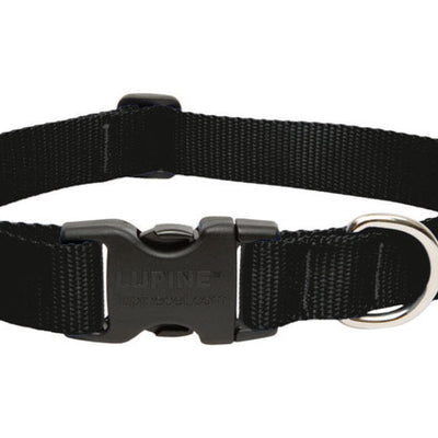 LupinePet Basic Solids Black Black Nylon Dog Adjustable Collar