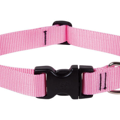 LupinePet Basic Solids Pink Pink Nylon Dog Adjustable Collar