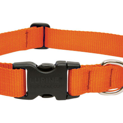 LupinePet Basic Solids Blaze Orange Blaze Orange Nylon Dog Adjustable Collar