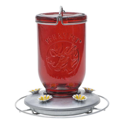 Perky-Pet Hummingbird 32 oz Glass/Metal Mason Jar Nectar Bird Feeder 5 ports