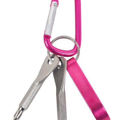 Home Plus Aluminum Pink Carabiner Key Chain