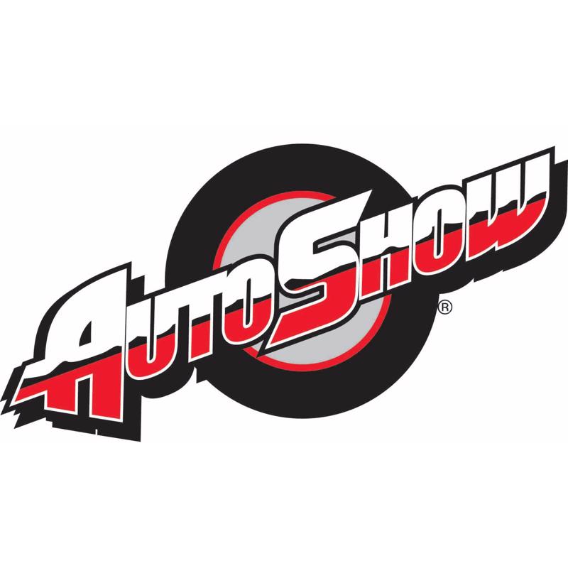 AutoShow SoftGrip 8.75 in. L X 4.75 in. W Polyester Sponge