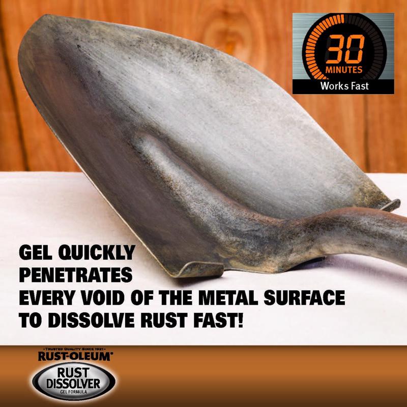 Rust-Oleum 32 oz Rust Dissolver