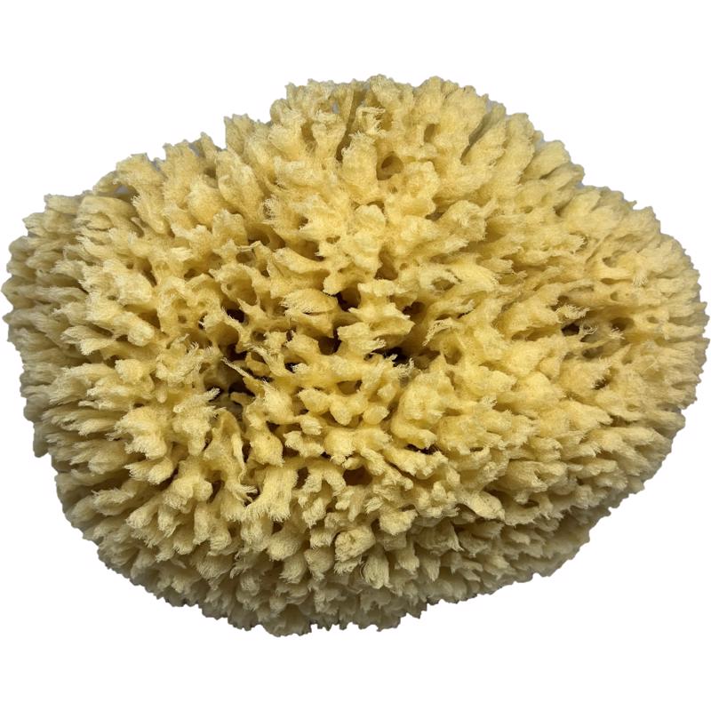 Armaly ProPlus Medium Duty Sponge For Multi-Purpose