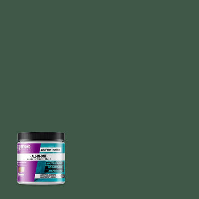 Beyond Paint Matte Forest Green Water-Based Paint Exterior and Interior 1 pt