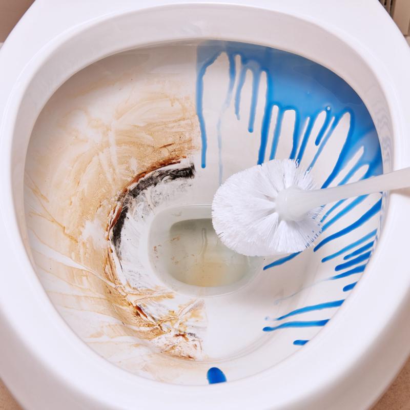Brillo Sno Bol Clean Scent Toilet Bowl Cleaner 24 oz Liquid