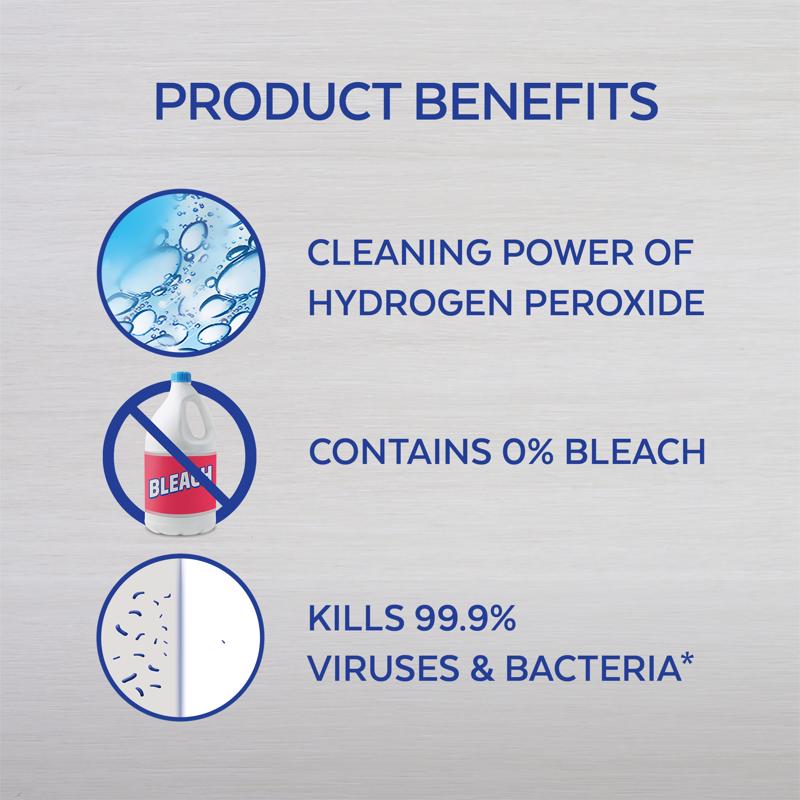 Lysol Ocean Fresh Scent Toilet Bowl Cleaner 24 oz Liquid