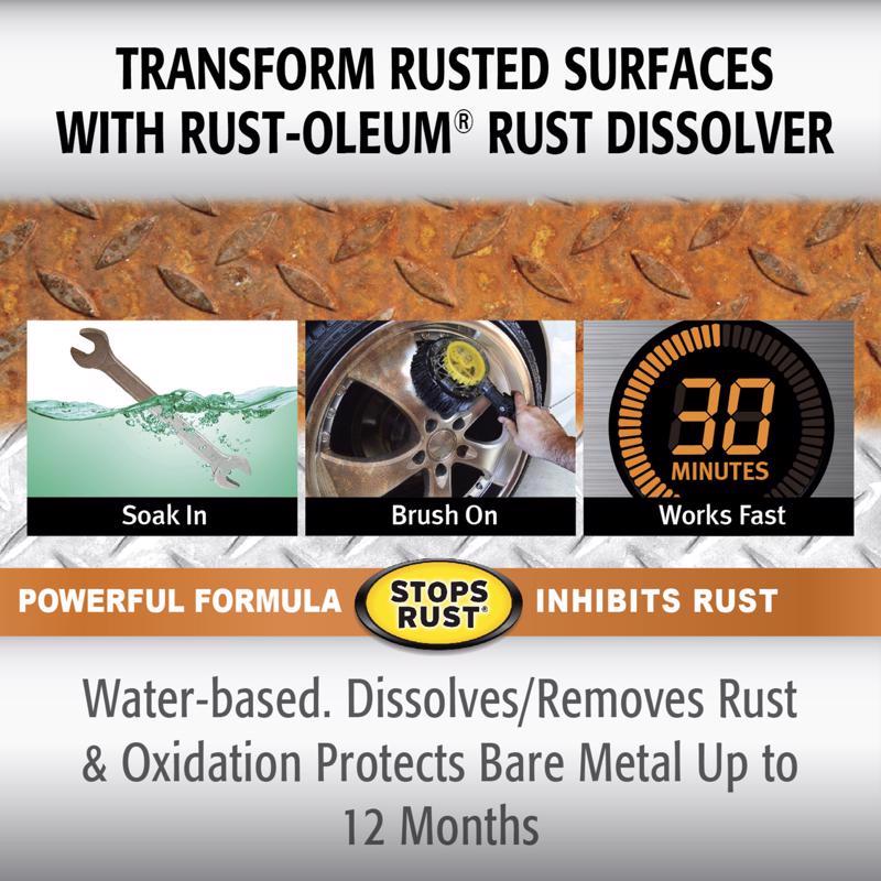 Rust-Oleum 32 oz Rust Dissolver