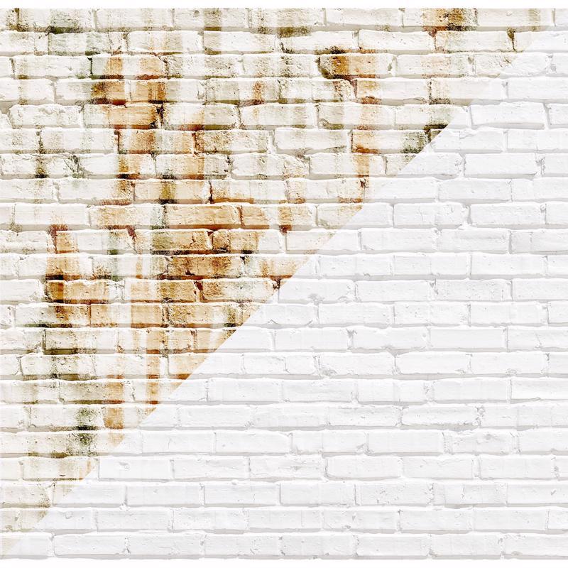 Drylok White Bonding Primer 1 gal