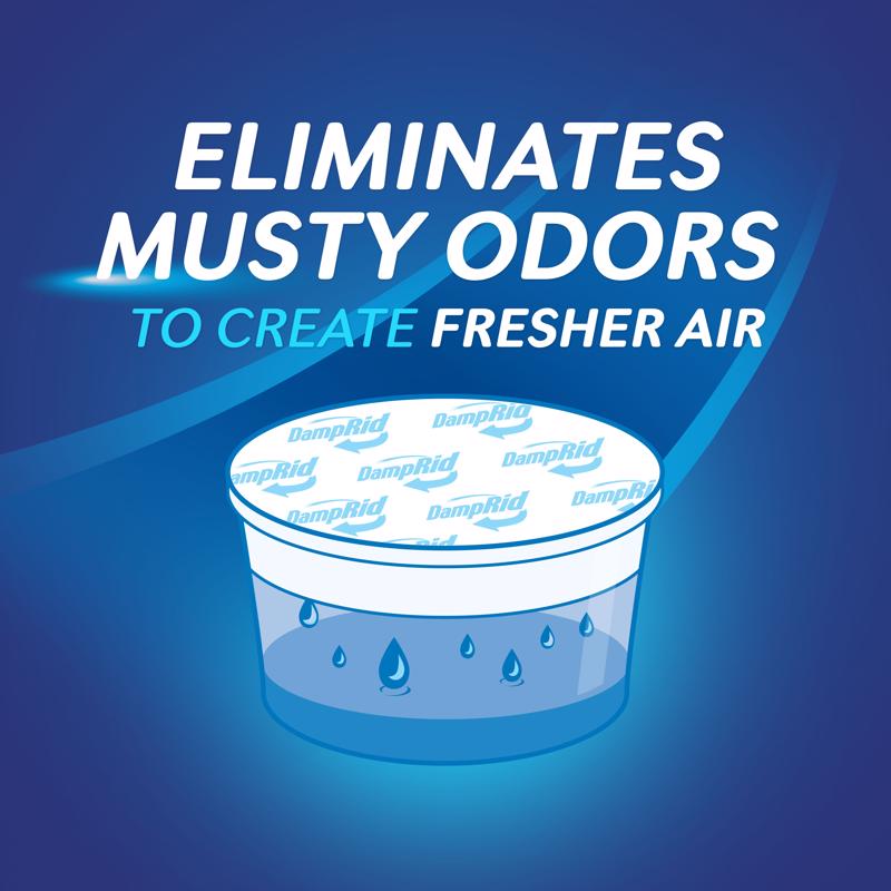 DampRid Moisture Absorber No Scent 2 lb