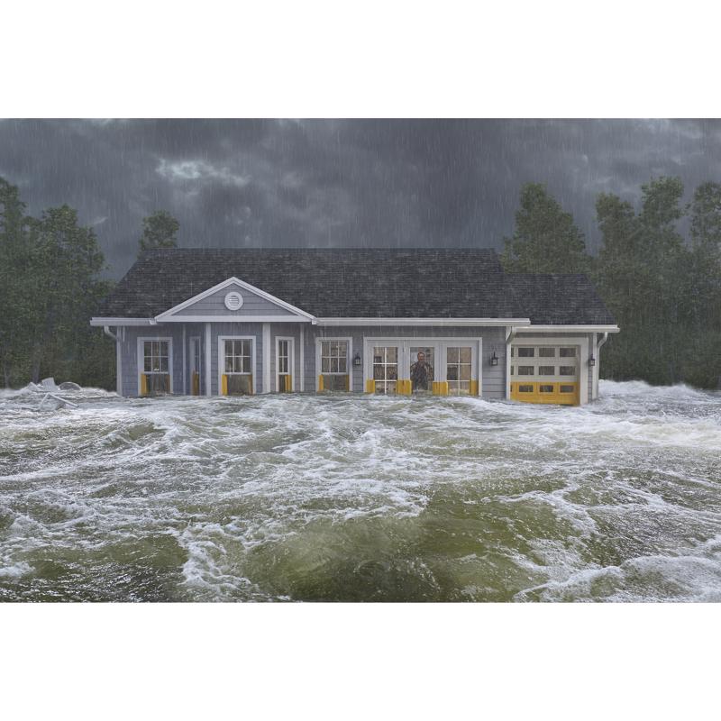 Flex Seal Family of Products Flood Protection Yellow Rubber Coating 1 box